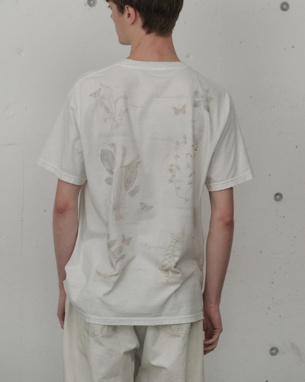 HERBARIUM SS(OFF)
